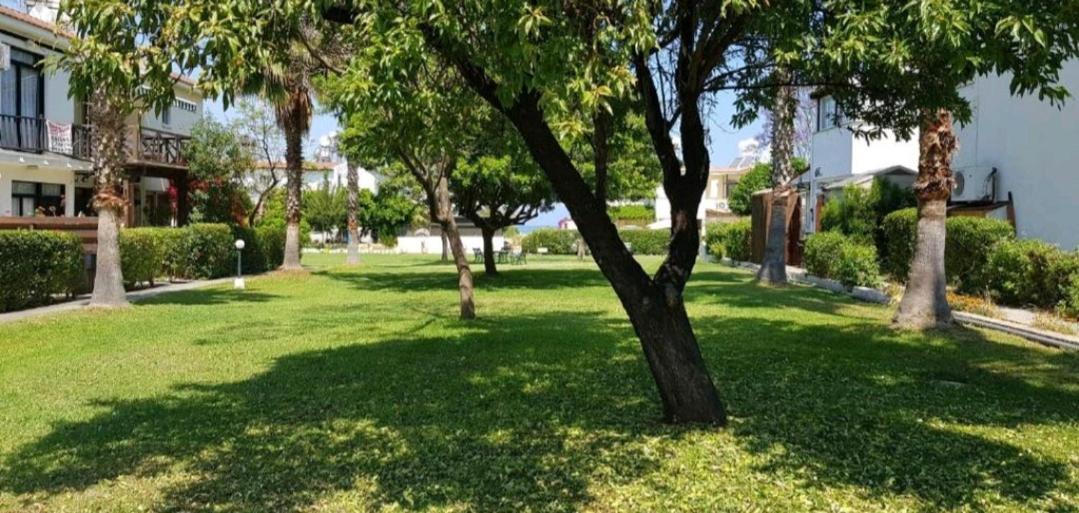 Akamas Sunset Bohemian Chic Apartment By One Villas Polis Esterno foto
